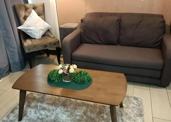 Appartement Condotel In Front Of Terminal 3 *